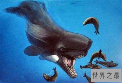 ​梅尔维尔鲸堪称世界上最凶猛的鲸鱼，取名来自于小说
