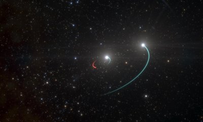 ​南半球冬季夜空中头顶的望远镜座HR 6819恒星系统 藏着距离地球最近的黑洞