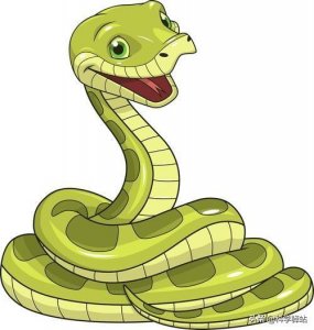 ​世界上最毒的蛇是哪种蛇（全球上十大最毒的蛇排名）
