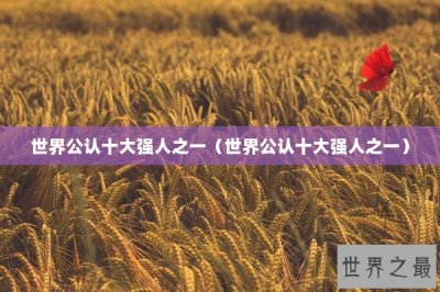 ​世界公认十大强人之一（世界公认十大强人之一）