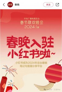 ​小红书和京东会是唯二的春晚互联网合作方吗？