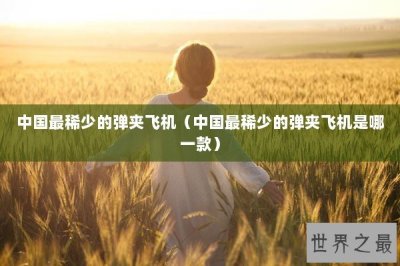​中国最稀少的弹夹飞机（中国最稀少的弹夹飞机是哪一款）
