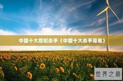 ​中国十大罪犯杀手（中国十大杀手是谁）