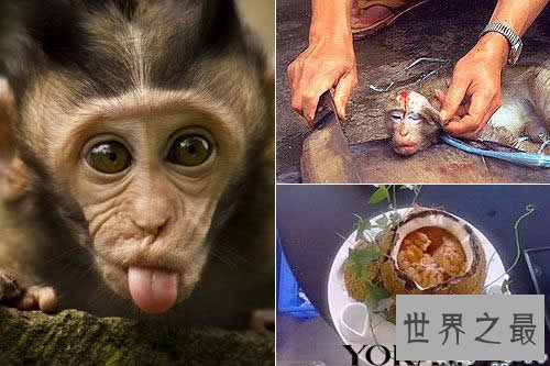 中国十大禁菜，舌尖上的重口味(油泼猴头太残忍)