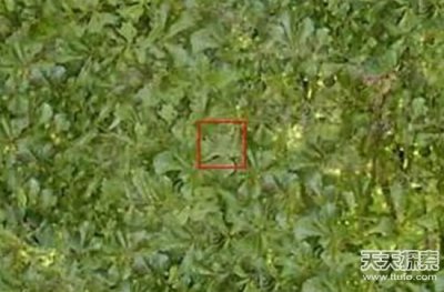 ​二十四张照片让你知道人类到底有多渺小