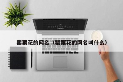 ​罂粟花的网名（罂粟花的网名叫什么）