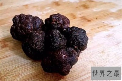 ​云南松露发展人工培植 常年出口多个发达国家