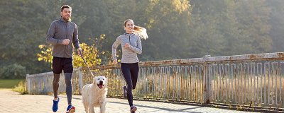 ​狗狗不能吃什么食物 狗狗不能吃什么水果和其他的东西一样