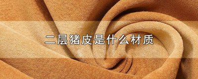 ​二层猪皮是什么材质 二层猪皮是什么材质怎样清洗