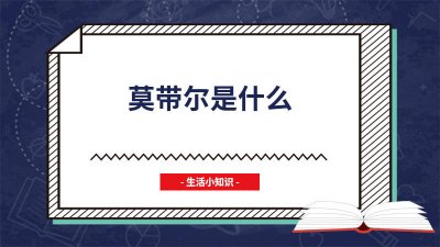 ​对莫尔的评价 如何看待莫尔
