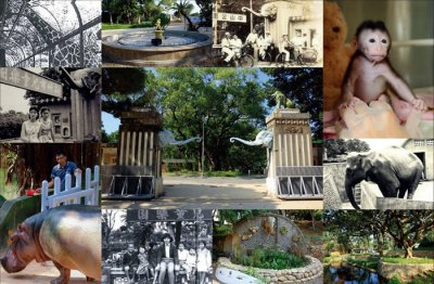 ​科技城市里的生态绿岛——重生的台湾新竹动物园