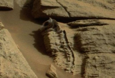 ​外星人搜寻者宣称在美国宇航局拍摄的火星照片上发现史前恐龙化石