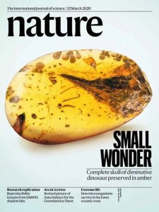 ​Nature封面论文“缅甸白垩纪蜂鸟大小的恐龙”撤稿 “最小恐龙”宽娅眼齿鸟实