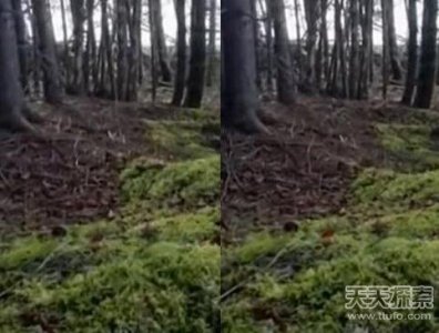 ​各地诡异事件：超速司机遭不知名物体追逐