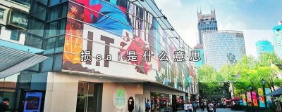 ​损是骂人的意思吗 损塞用英语怎么说