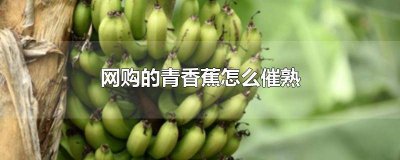 ​香蕉用催熟吗 买回来的香蕉怎么催熟
