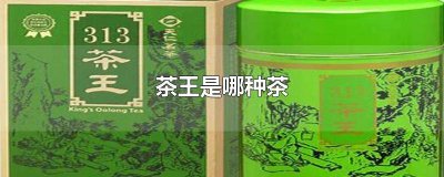 ​有茶王之称的茶是什么茶 被誉为中国茶王的是