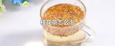 ​桂花茶怎么泡才香 桂花茶怎么泡及功效