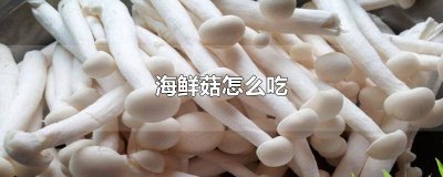 ​海鲜菇怎么炒好吃又简单窍门图解 请问海鲜菇怎么炒