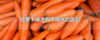 ​红萝卜焯水和不焯水的区别 红萝卜焯水和不焯水的区别图片