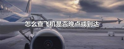 ​查询飞机是否晚点的app 查询飞机是否晚点在哪里查