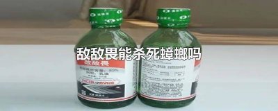 ​敌敌畏可以杀蟑螂吗视频 敌敌畏可以灭蟑螂吗