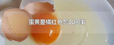 ​蛋黄是橘红色怎么回事图片 蛋黄是橘红色怎么回事儿