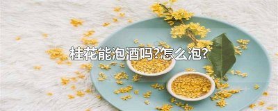 ​桂花可以直接泡酒吗? 桂花用什么酒泡