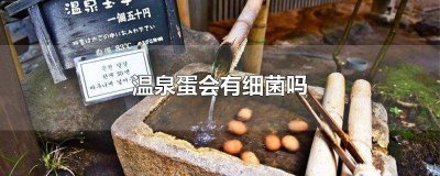 ​外面的温泉蛋都是无菌鸡蛋吗 温泉里有细菌吗