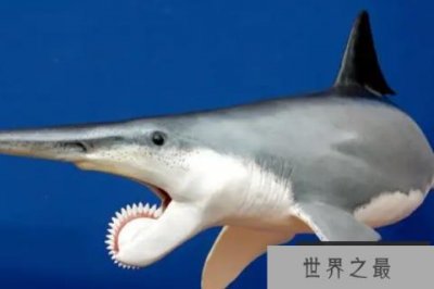 ​远古时期十大最凶猛的动物：旋齿鲨和棘龙双双入榜