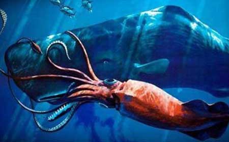 深海100000米以下生物,目前尚未发现的恐怖生物