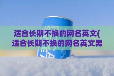 ​适合长期不换的网名英文(适合长期不换的网名英文男)