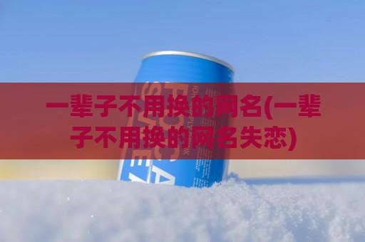 一辈子不用换的网名(一辈子不用换的网名失恋)