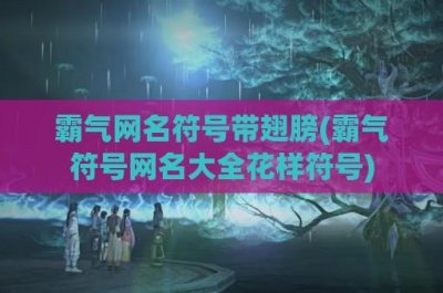 ​霸气网名符号带翅膀(霸气符号网名大全花样符号)