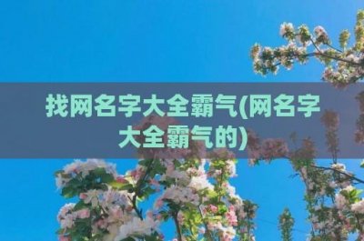 ​找网名字大全霸气(网名字大全霸气的)