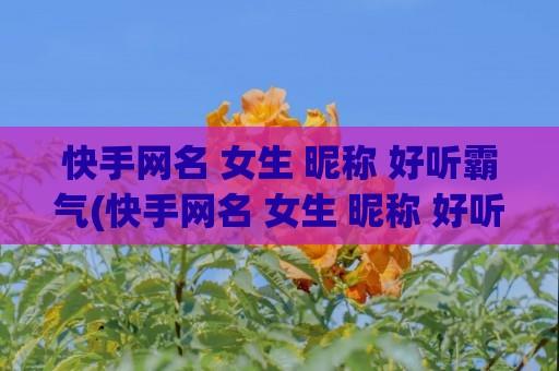 快手网名 女生 昵称 好听霸气(快手网名 女生 昵称 好听英文)