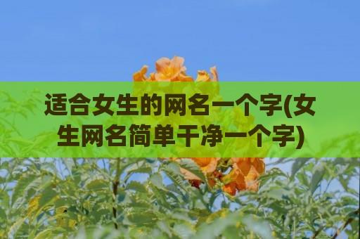 适合女生的网名一个字(女生网名简单干净一个字)