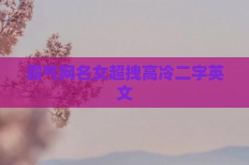 霸气网名女超拽高冷二字英文