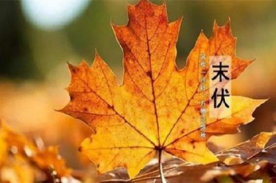 ​末伏可以刮痧吗 末伏适合艾灸吗