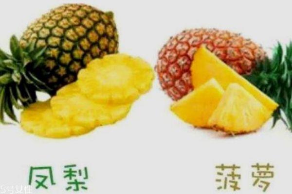 怎么区分菠萝和凤梨 菠萝和凤梨有什么不同