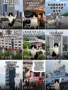 ​官方号，最终还是到00后手里了