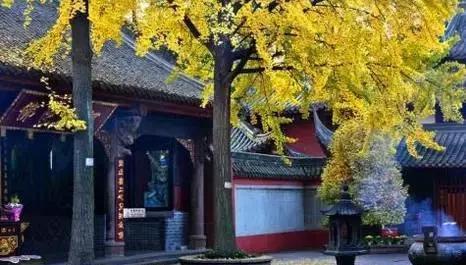 扒一扒成都：赵雷火了，却唱了首假《成都》