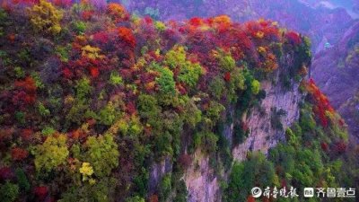 ​鲁中山区千山红遍，淄川潭溪山更是满山披霞