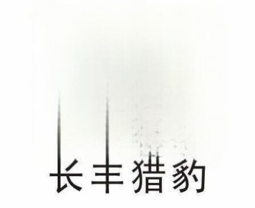 ​猎豹汽车怎么样_口碑如何，猎豹汽车是哪个国家的