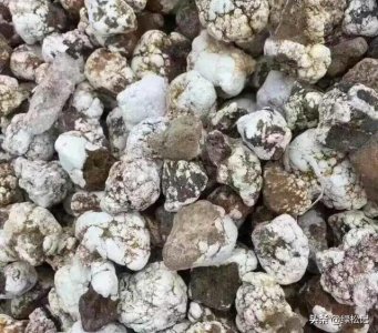 ​绿松石伴生矿到底是什么鬼？别再吃药了