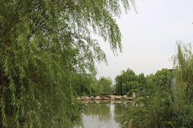 京贸科技学院实景图