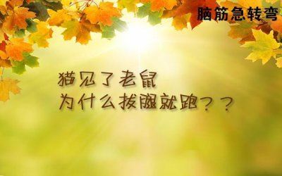 ​脑筋急转弯（多题）：猫见了老鼠，为什么拔腿就跑？你知道吗