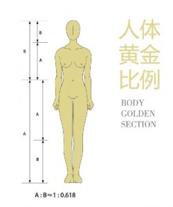 ​女性黄金身材比例标准，你可能是个假人？
