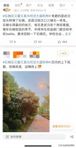 ​“臭”到被“群嘲”的石楠花，为何能“称霸”城市？