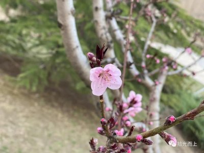 ​红配绿，赛狗屁？论红绿搭配如何扮出美感